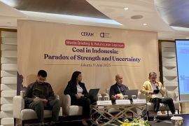 Pasar batu bara Indonesia diyakini tetap stabil di tengah tren transisi