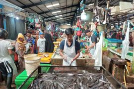 Harga komoditas pokok di Tanjungpinang turun usai Idul Adha