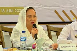 Bupati Natuna sebut nelayan lokal butuh bantuan kapal memadai