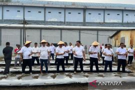 Rutan Kelas I Medan tanam bibit cabai dukung program ketahanan pangan