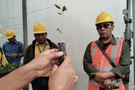 Mitra APP Group lakukan pengelolaan HTI berkelanjutan dan manajemen penanganan karhutla terintegrasi