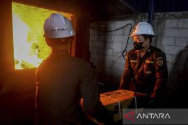 Pemusnahan 17,2 ton jeroan sapi dari Australia