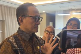 Wamensesneg ditunjuk jadi komisaris PLN