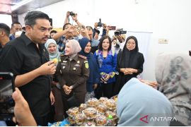 Menteri UMKM minta Kalsel bantu akses usaha pada kalangan disabilitas