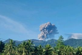 Dukono alami erupsi dengan abu vulkanik capai 1.200 meter dari puncak
