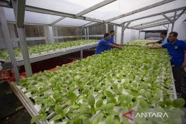 Program ketahanan pangan di Lapas Indramayu