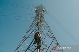 PLN optimistis capai nol emisi 2060 lewat program supergrid hijau