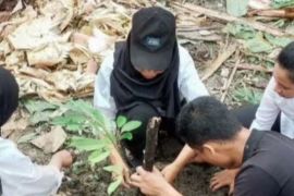 Balai TN Manusela tanam 25 anakan durian dan mangga cegah degradasi lahan
