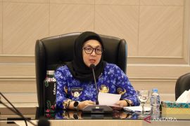 Pemkab Tangerang tambah ruang terbuka hijau untuk atasi polusi udara