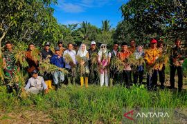 Pemkab Natuna pastikan penyaluran pupuk subsidi kepada petani aktif