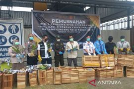 Balai Besar Karantina Sumut  musnahkan komoditi asal luar negeri