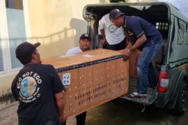 BKSDA Maluku terima 25 satwa liar dilindungi hasil translokasi dari Jakarta