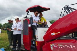 Pemkab Malteng maksimalkan potensi lahan seluas 4.020 hektare untuk pertanian