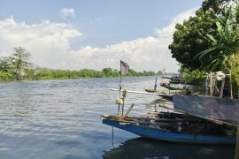 Sungai Ciujung dan tambak milik warga di Serang tercemar limbah industri