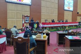 DPRD Palangka Raya bentuk dua pansus bahas dua raperda