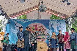 85 pelaku UMKM ramaikan festival Pangkalalang 2025