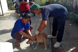 Distankan Rejang Lebong gelar vaksinasi massal hewan penular rabies