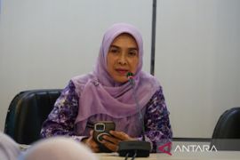 Pemkot Banjarmasin publikasikan 1.035 data statistik sektoral lewat SDI