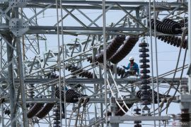 PLN bangun GITET 500 kV di Banyuwangi, perkuat sistem kelistrikan Jawa-Bali