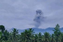 Gunung Dukono erupsi semburkan abu vulkanik setinggi 1.550 meter pada Kamis pagi
