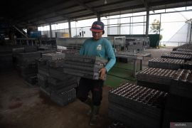 Mengintip pusat pembibitan pohon eucalyptus di Ogan Komering Ilir Page 3 Small