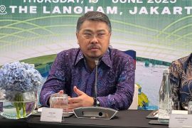 Pertamina inks US$120 mln partnership with Philippines green energy co