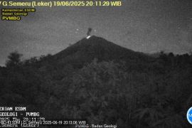 Gunung Semeru erupsi, tinggi letusan capai 800 meter