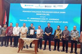 Bank Kalsel gaet Jamkrindo dan Askrindo kerja sama penjaminan KUR