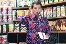 Pemkab Tangerang ajak pemuda terlibat bangun desa