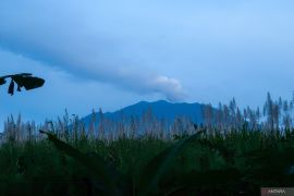 Aktivitas erupsi Gunung Raung
