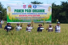 Pemkab Bone Bolango apresiasi sinergi BI dan petani tanam padi organik