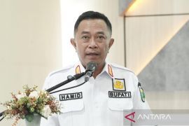 Bupati Bondowoso: Perhutanan sosial untuk kesejahteraan masyarakat