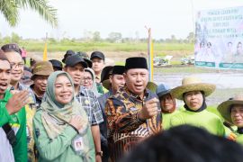 Bupati Batola gagas bangun tanggul seluas 5 hektare