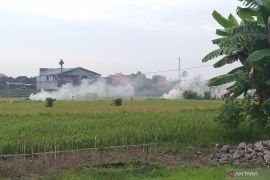 Pemkab Gianyar larang masyarakat bakar sampah dan jerami