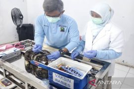 Lampung Selatan gelar vaksinasi HPR gratis guna cegah rabies