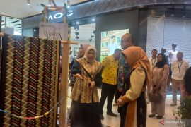 BI pamerkan 59 UMKM dan budaya lokal di Sultra Maimo 2025