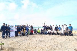 PT Timah - Gapoktan Tanjung Jaya tanam ratusan pohon di bekas tambang