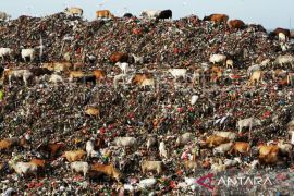 Makassar berupaya olah sampah jadi energi listrik