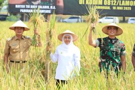 Gubernur Khofifah ajak petani terus berinovasi di sektor pertanian