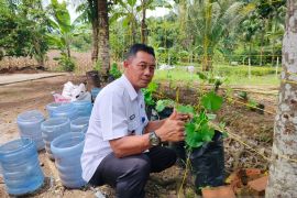 50 persen penghuni Lapas Lubuk Basung dari kasus narkoba