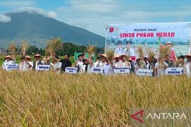 Komisi IV DPR RI tinjau potensi ketahanan pangan program sawah pokok murah