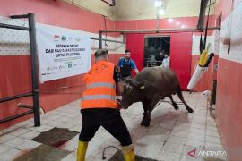 NU Care-Lazisnu salurkan daging kurban untuk 1.400 keluarga Palestina