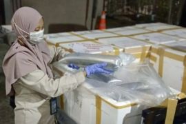 Kalsel kemarin dari Rembuk Stunting hingga ekspor ikan Betutu