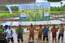 Program Keta tu Saba langkah jitutingkatkan produktivitas pertanian di Madina