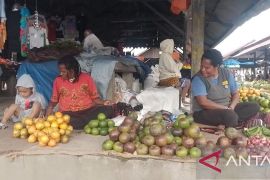 Pemkab Jayawijaya sebut dana Otsus Rp290 miliar untuk kesejahteraan OAP
