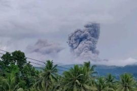 Gunung Dukono di Malut kembali erupsi semburkan abu setinggi 1,1 km
