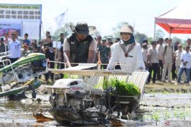 Kementan melakukan transformasi pertanian Ketapang lewat Brigade Pangan