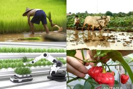 Menyesuaikan diri sebagai masyarakat negeri agraris