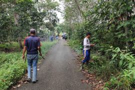 Pemkab Tabalong segera perbaiki Jalan Tampurejo-Upau