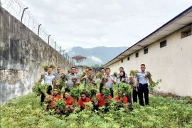 Rutan Lubuk Sikaping panen kacang tanah dukung ketahanan pangan